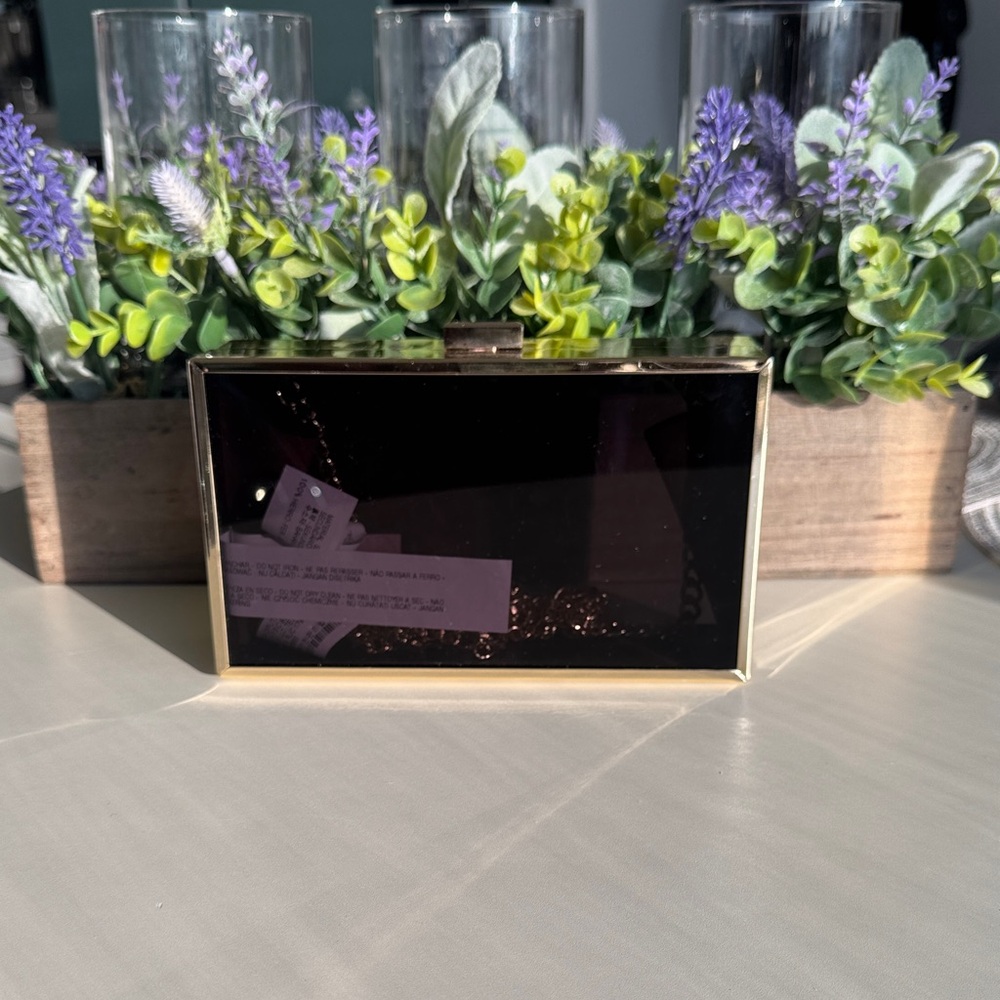 Zara Smoky Transparent Acrylic Clutch Gold Chain Boxy Small Bag